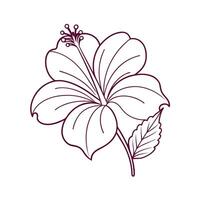 Beautiful Flower Minimalist Floral Illustration vector
