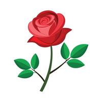 Beautiful Flower Minimalist Floral Illustration vector