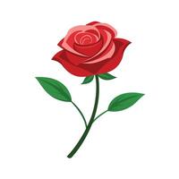 Beautiful Flower Minimalist Floral Illustration vector