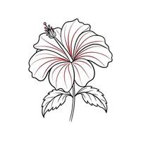 Beautiful Flower Minimalist Floral Illustration vector
