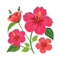 Beautiful Flower Minimalist Floral Illustration vector