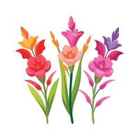 Beautiful Flower Minimalist Floral Illustration vector
