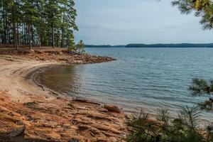 Drought conditions at the lake photo