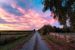 View of vineyard field growing on hill with colorful sky in the morning photo