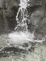 Beautiful waterfall middle of the forest photo