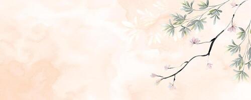 Abstract background with flowers leaves branch on stains watercolor vector