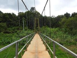 Simple Suspension Bridge in green village photo