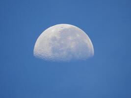 Original Photo of half moon in daylight