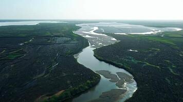 un sereno río delta con múltiple corrientes fluido dentro el mar. natural, difundido Encendiendo a realce el intrincado cursos de agua video