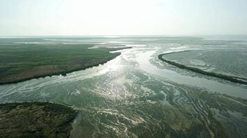 A serene river delta with multiple streams flowing into the sea. Natural, diffused lighting to highlight the intricate waterways. video