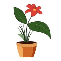 Flowers in pot on white background. vector