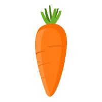 kawaii Carrots icon on white background. vector