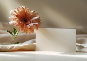 A peach gerbera flower with a blank card on beige fabric, illuminated by soft natural light photo