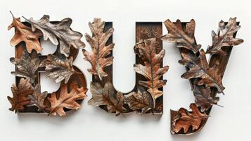 The word Buy created in Oak Leaf Letters. photo