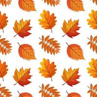 Seamless pattern of colorful autumn leaves. Autumn falling leaves on a white background. Illustration, print, textile vector