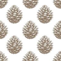 Seamless pattern, drawn pine cones on a white background. Silhouettes of cones background. Design for textiles, wallpaper vector