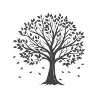 Silhouette of an autumn tree with falling leaves on a white background. Black and white illustration, sketch, design element vector