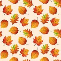 Seamless pattern of colorful autumn leaves. Autumn falling leaves on a white background. Illustration, print, textile vector