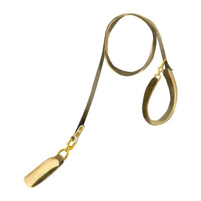 Leash for dogs. Brown dog leash with gold accents. Watercolor illustration. All objects are hand-painted with watercolors. Suitable for printing on fabric and paper, for scrapbooking and design