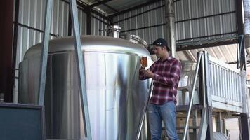 Handsome Asian man checking quality of craft beer By looking at the beer glass The color and foam of the beer behind is a large brewery. video