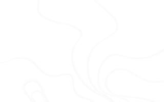 Abstract White Minimalist Background Design vector