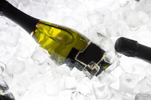 champagne bottles in a bucket with ice, top view photo