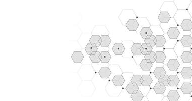 Dark grey hexagon white background. vector