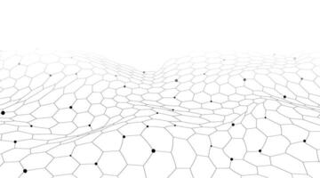 Hexagon geometric mesh lines on a white background. vector