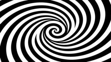 Abstract Black and white Geometric Waves Pattern with vector