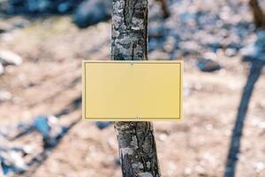 Yellow rectangular blank sign hanging on a tree in the forest photo