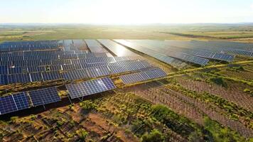 Aerial shot A large solar farm with rows of solar panels. Bright, even lighting to reflect the renewable energy focus. video