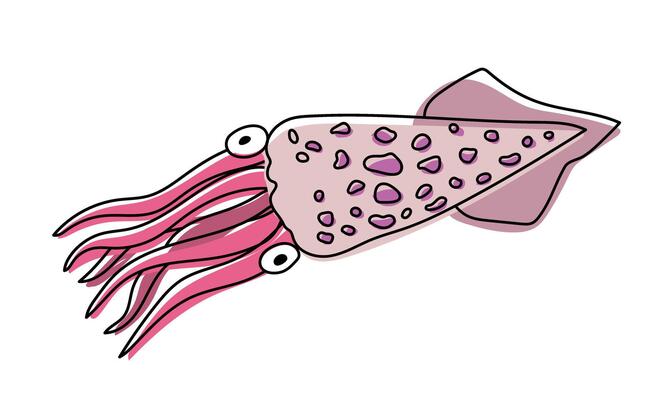 Squid isolated on transparent background. Fresh seafood.