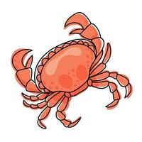 Crab isolated on transparent background. Crab illustration vector
