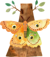 watercolor illustration of a colorful moth with large wings resting on a tree trunk with green leaves and twigs png