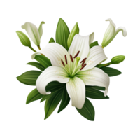 Generated Ai Beautiful White Lily Flower png