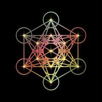 Psychedelic Metatron's Cube, Flower of Life. Gold Sacred geometry. Mystic colorful icon platonic solids Merkabah, abstract geometric drawing, crop circles sign. Graphic logo element isolated on black vector