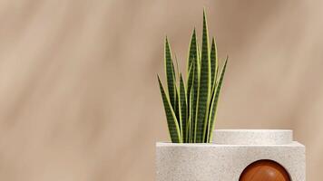Terrazzo texture product podium 3d rendering mockup brown color in landscape with snake plant photo