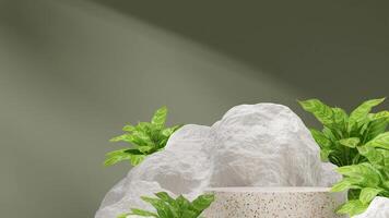 3D render blank space of terrazzo texture podium in landscape with chinese evergreen and white rocks photo