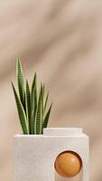 Terrazzo texture product podium 3d rendering mockup brown color in portrait with snake plant photo