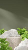 3D render blank space of terrazzo texture podium in portrait with chinese evergreen and white rocks photo