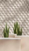 3d rendering mockup template of podium terrazzo texture block in portrait with snake plant photo