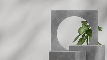 3d rendering mockup scene concrete texture style podium in landscape with green house plant photo