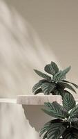 3D image render mockup space of terrazzo texture podium in portrait with pink stripe calathea photo