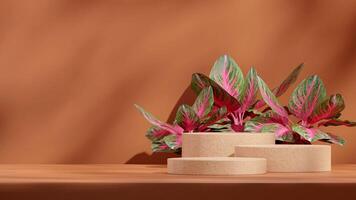 Brown terrazzo color texture podium 3d render mockup in landscape with aglaonema red plant photo