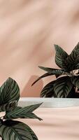 3d rendering mockup scene green terrazzo podium in portrait with pink stripe caladium photo