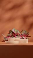 Brown terrazzo color texture podium 3d render mockup in portrait with aglaonema red plant photo