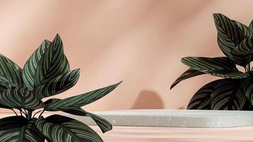 3d rendering mockup scene green terrazzo podium in landscape with pink stripe caladium photo