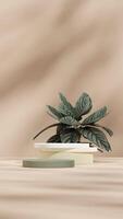 Green gradient podium in portrait with pink stripe calathea house plant 3d rendering mockup scene photo