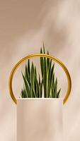 3d rendering mockup cylinder podium in portrait with green snake plant and gold ring background photo