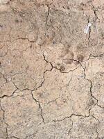 Cracked earth texture for nature background photo